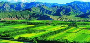 廣西農(nóng)村投資集團(tuán)待遇怎么樣？廣西農(nóng)業(yè)信貸擔(dān)保公司工資多少？中層如何？