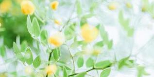 廣西千年傳說榮斌簡歷，杜婷高管領(lǐng)導(dǎo)班子有哪些成員